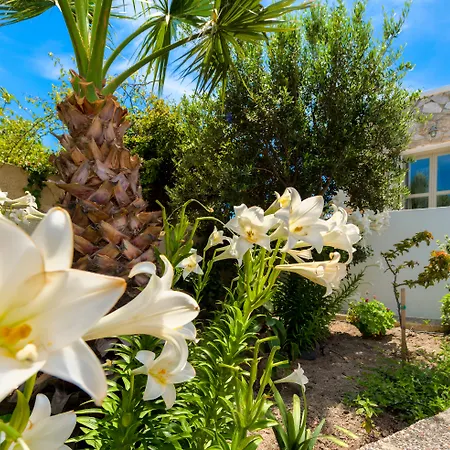 Mathios Village Hotel Akrotírion